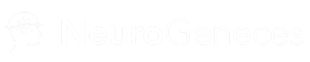 neurogeneces